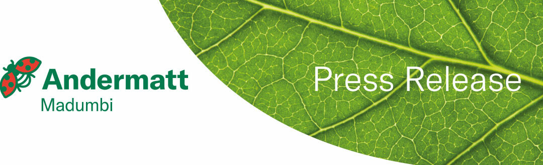 Andermatt in Africa is growing