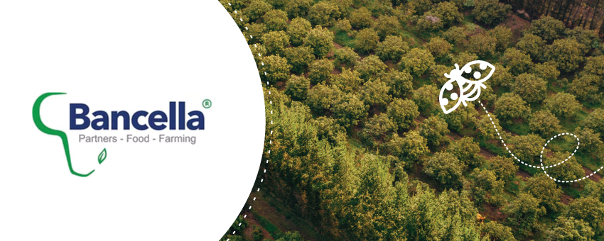 Andermatt Madumbi announces a strategic partnership with Bancella Limited