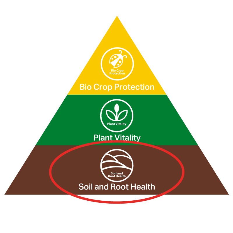 Sustainability Pyramid Soil and Root Health - Andermatt Africa