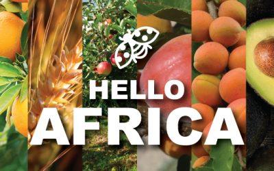 PRESS RELEASE: Website Launch – Andermatt In Africa