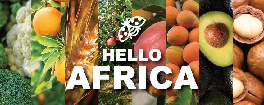 PRESS RELEASE: Website Launch – Andermatt In Africa