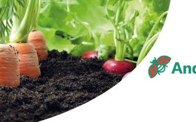 Eco-T® & RhizoVital®42: Soil microbes for healthy roots