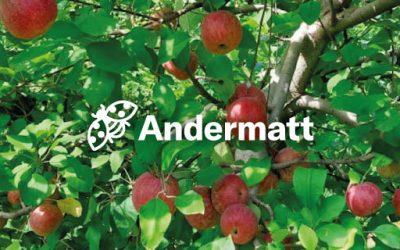 Andermatt in Africa Quarterly Update – Andre Fox